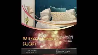 Calgary Carpet Cleaning