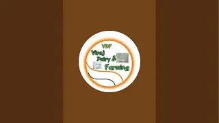 पहलन झोंटी की Live Milking (खाली होते समय) Morning Time at Manoj Dairy Farm (7503542782)