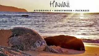 Cheap Hawaii Honeymoon Packages