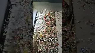 Aluminum cans bales shredder ,a big size single shaft shredder #recycling #scrapmetalrecycling