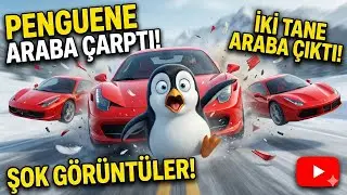 Penguen | Funny AI car accidents #penguin #caraccident
