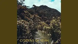 Between the trees