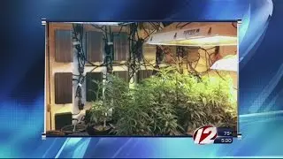 Traffic stop leads to arrests, pot bust in Coventry