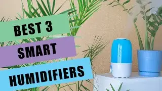 The Best 3 Smart Humidifiers for 2020