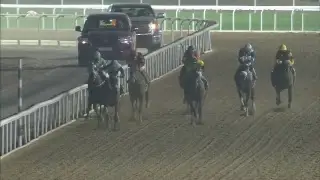 40th Race Meeting of Season 2018/2019