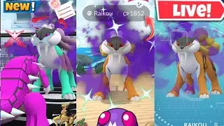 Hunting✨️Shiny Shadow Raikou On Raid Day in Pokemon Go
