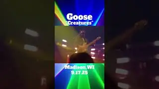 Goontz Creatures jam! When the BPMs go this hard, you can't sit still! 🔥 📹@nugs.net #GooseTheBand
