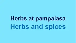 How to say Herbs and Spices in Filipino / Tagalog tutorial