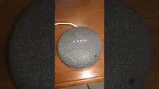 Google home lucky trivia 