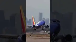 Did you know Southwest Airlines only operates Boeing 737s? #fly #..