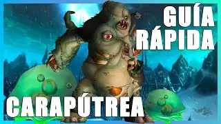 GU&Iacute;A R&Aacute;PIDA ICC | CARAP&Uacute;TREA 25 HC Y NM