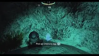 Cuddlefish Egg Found&hellip; He&rsquo;s Coming Home!