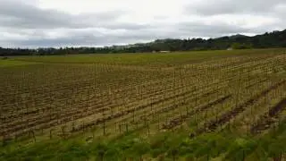 Vineyard Aerial Drone Footage