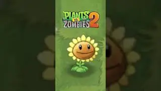 Evolution of The Sunflower