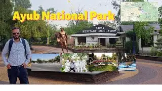 Exploring the Beauty of Ayub National Park, Rawalpindi, Pakistan