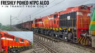 FRESHLY POHed NTPC ALCo in TRANSIT || WAG-9 ITARSI || VIJAYAWADA JUNCTION
