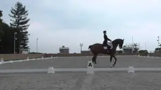 LUIGI /Yoko Nishijima GPX