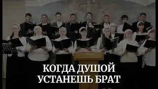 КОГДА ДУШОЙ УСТАНЕШЬ БРАТ
