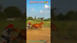 #sagalive #nashik #delagranja #kagal #trending #viralvideos #reels #varalreels