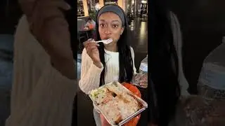 Day 1 Trying every halal cart in NYC. This is Adels halal food.