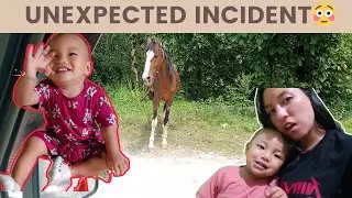 Unexpected Incident Vayo 😱 | Horse 🐎 ka bata ayo?😱 |DAILY VLOGS