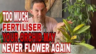Are You Making This Common Fertilizer Mistake with Magnesium and Calcium