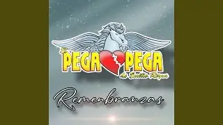 Volaron Las Garzas