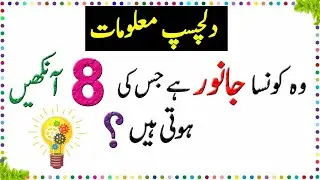 General Knowledge Questions And Answer Facts About Animals|Abbasi knowledge tv Paheliyan In Urdu