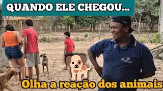 MÃE DE 7 FILHOS PODE COMEMORAR MAIS UMA VITÓRIA, CHEGOU LUZ NA CASA NOVA! E O BANHEIRO??