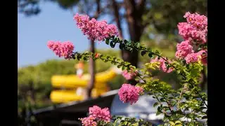 Camping Enzo Stella Maris 2024