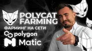 POLYCAT - ФАРМИНГ НА СЕТИ POLYGON MATIC. DEFI (MATIC POLYGON YIELD FARMIG)