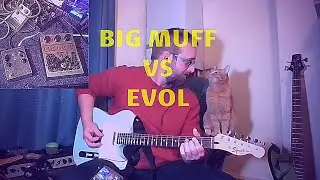 EVOL Vs BIG MUFF - Spot the Difference!