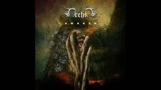 Orchid - Awaken (2012)
