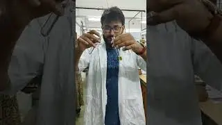 lab experience