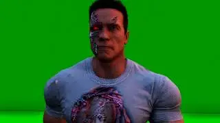 Terminator Green Screen Pack 2 Зеленый экран / Хромакей