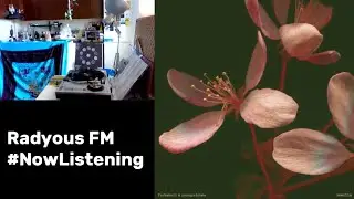 Radyous FM - #NowListening - Pachakuti & young.vishnu - Semilla