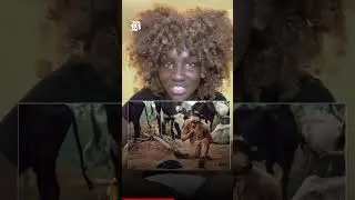 Avatar&rsquo;s Cultural Roots in South Sudan Aesthetics, Influencer Argues