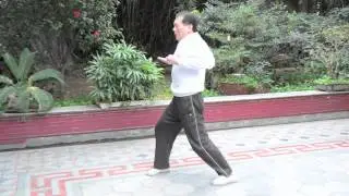 香港鐵臂鴛鴦手，五袓拳﹣蔡長慶師傅