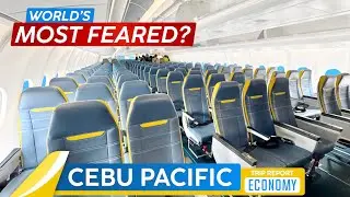 How BAD Can It Be On CEBU PACIFIC?! ✦ A330neo Economy Class Trip Report ✦ Hong Kong to Manila @The Flip Flop Traveller