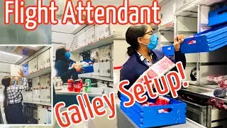 Mo&rsquo;sLifeInABag | EP. 4 | FLYING GALLEY POSITION ON A 4 DAY TRIP✈️ #FlightAttendantLife