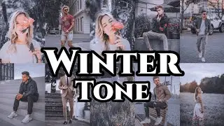 Winter Preset | Lightroom Mobile Presets Free DNG | Winter Tone Lightroom Presets