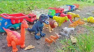 wow,, Truk Oleng Angkut Sapi, Gajah, Titek, Kerbau, Singa, Jerapah, Rusa, Zebra, Harimau, Domba