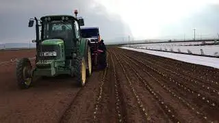 MARUL DİKİMİ 6 SIRALI MAKİNA