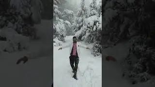 Heavy snowfall in dhanaulti🌨️❄️ mussoorie #uttrakhand #shorts #youtubeshorts #snow
