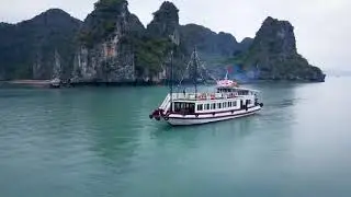 Dragonfly Cruise