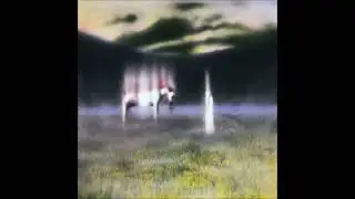 *FREE* 
