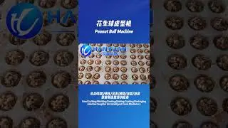 Peanut Ball Molding Machine #machine