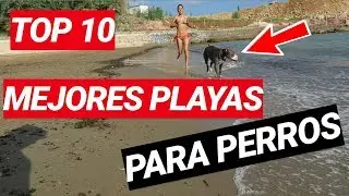 MEJORES PLAYAS PARA PERROS ⭐ TOP10 ⭐