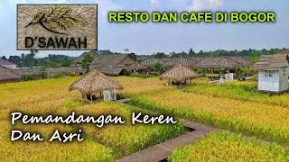 D'SAWAH BOGOR Resto Dan Cafe Dengan Pemandangan Sawah Segar Yang Indah