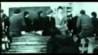 roca ayvavda nushi